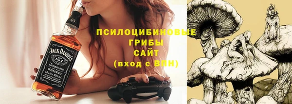 МДПВ Абинск