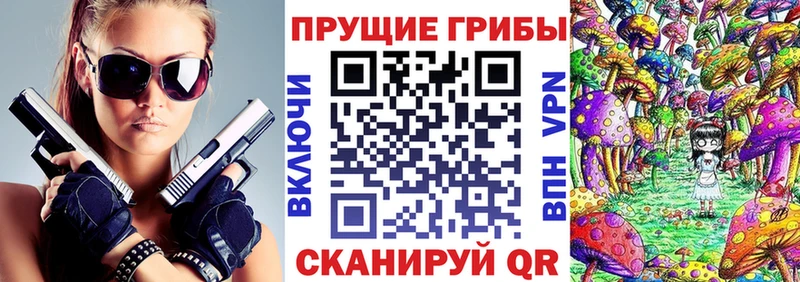 Псилоцибиновые грибы Psilocybe  Ханты-Мансийск 